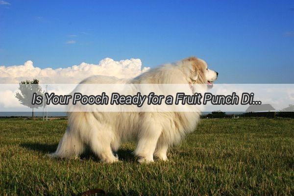 Is Your Pooch Ready for a Fruit Punch Discover the Truth About Dogs and Fruit Popsicles